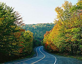 科乐美财报：利润比上年创纪录地增长了70%